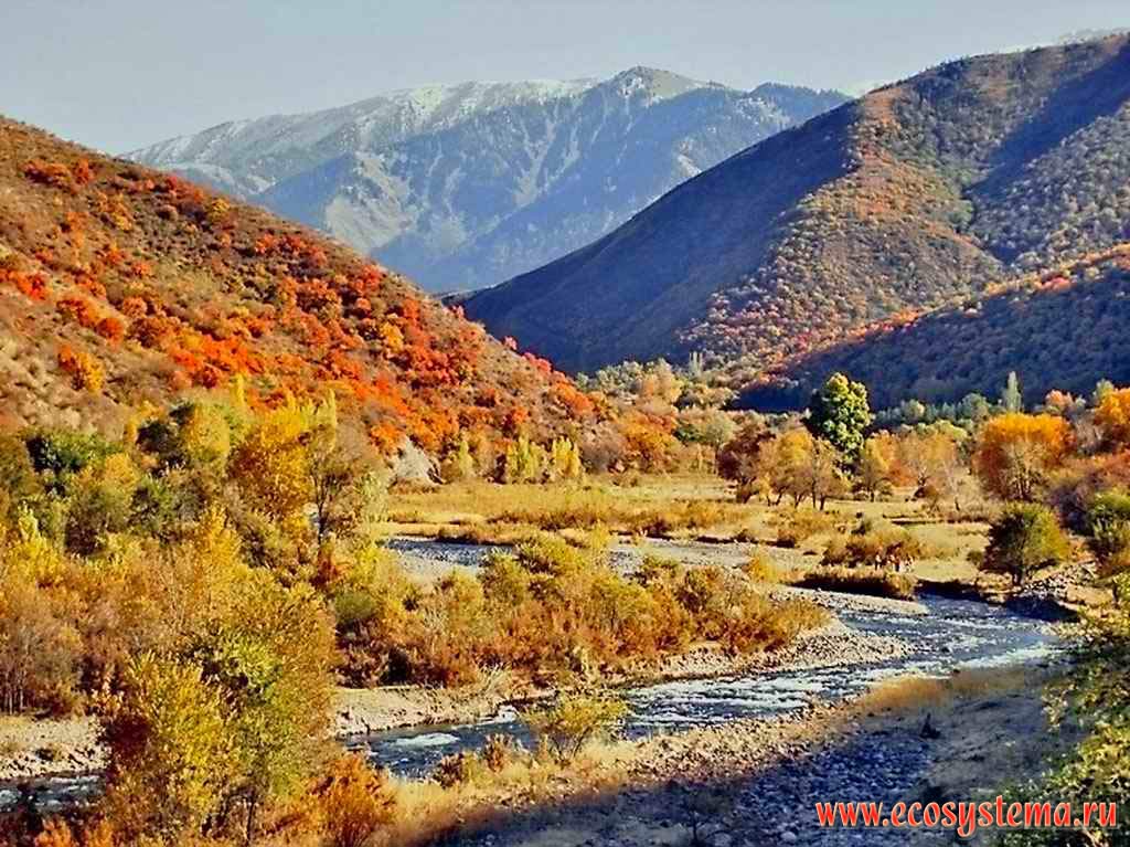 Речная долина реки Тургень (Тургеньское ущелье) осенью.
Заилийский Алатау, Северный Тянь-Шань, недалеко от Алма-Аты (Алматы), Казахстан