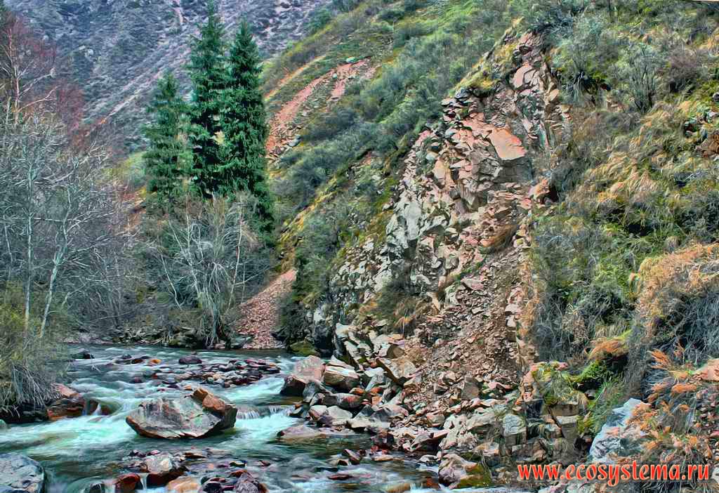 Turgen River in the Zailiysky Alatau mountains. Northern Tien-Shan Mountains, not far from the Almaty (Alma-Ata) city, Kazakhstan