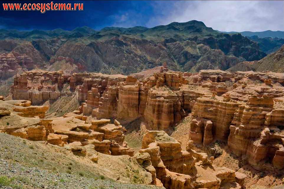 Чарынский каньон, или Долина замков - результат выветривания (в основном, ветровой эрозии) песчаников (осадочных горных пород).
Северный Тянь-Шань, Чарынский национальный парк, Казахстан