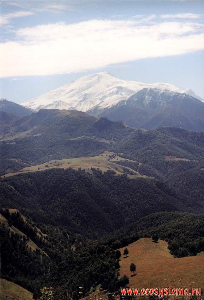 Вид на Эльбрус (5642 м.). Лесная зона высотной поясности (2500 м н.у.м.).
Северный Кавказ, Приэльбрусье, Карачаево-Черкесия