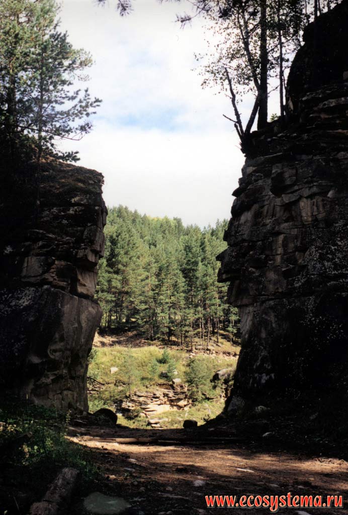 ЦCzar Gates - old timber-carrying road, hack through the rock