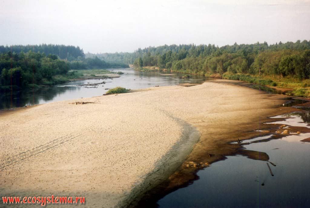 Русло реки Керженец (среднее течение) с песчаной отмелью в межень.
Подзона южной тайги, Керженский заповедник, Нижегородская область
