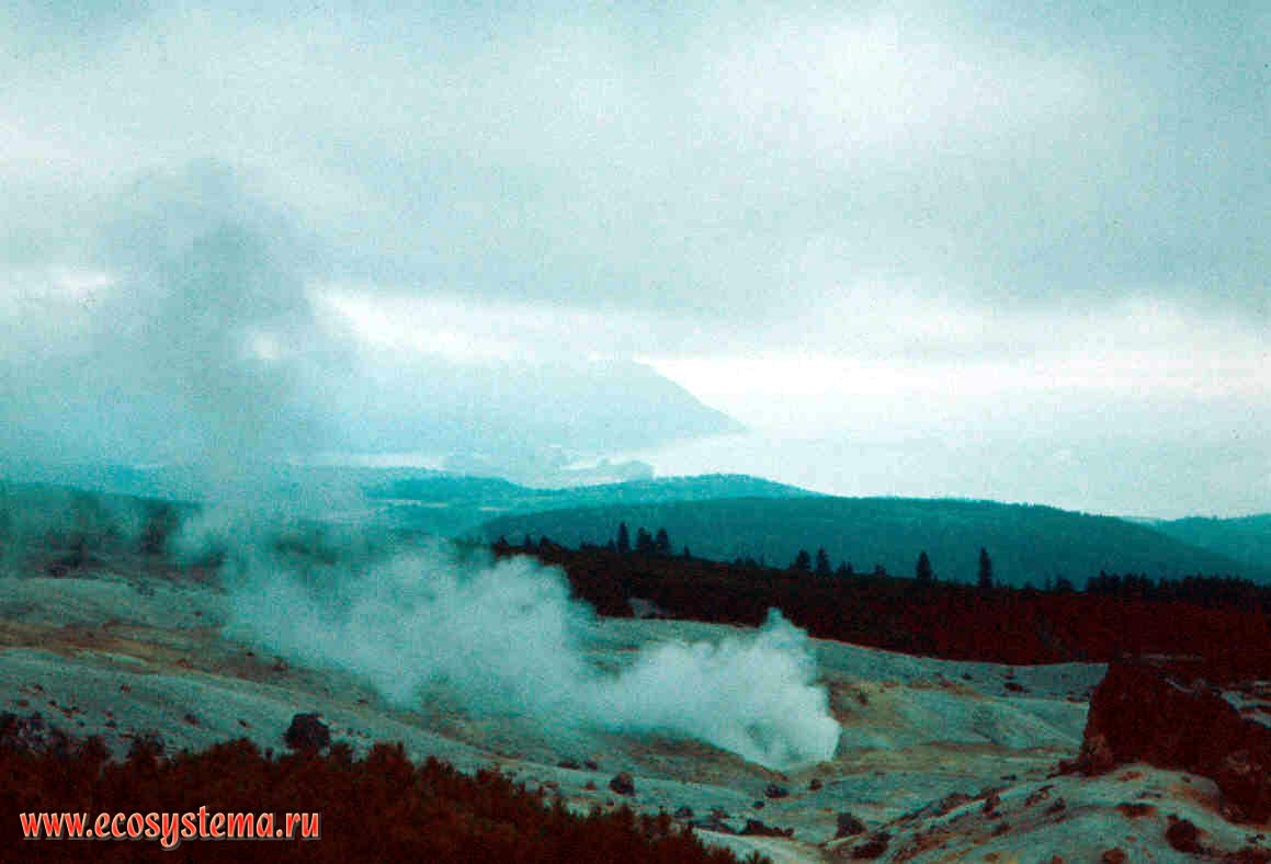 Фумарольные поля у подножия вулкана Менделеева