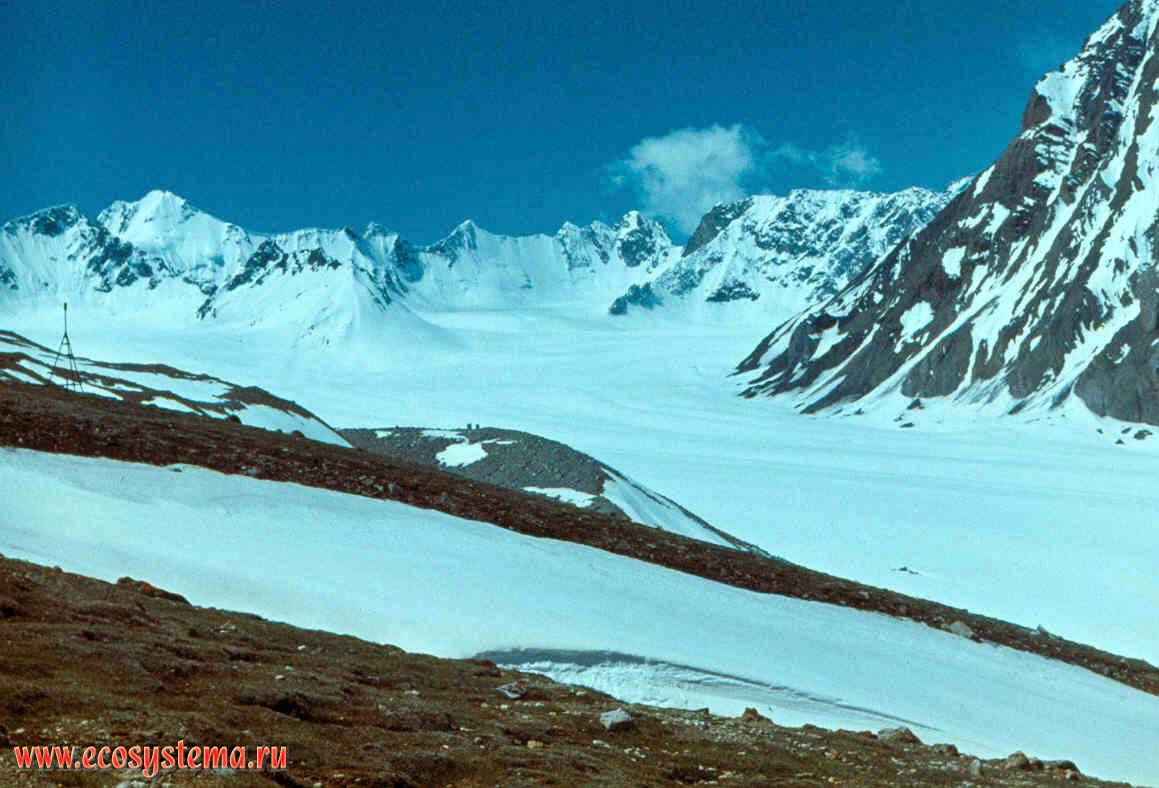 Ледник Абрамова. Тело ледника в верховьях. Памиро-Алай