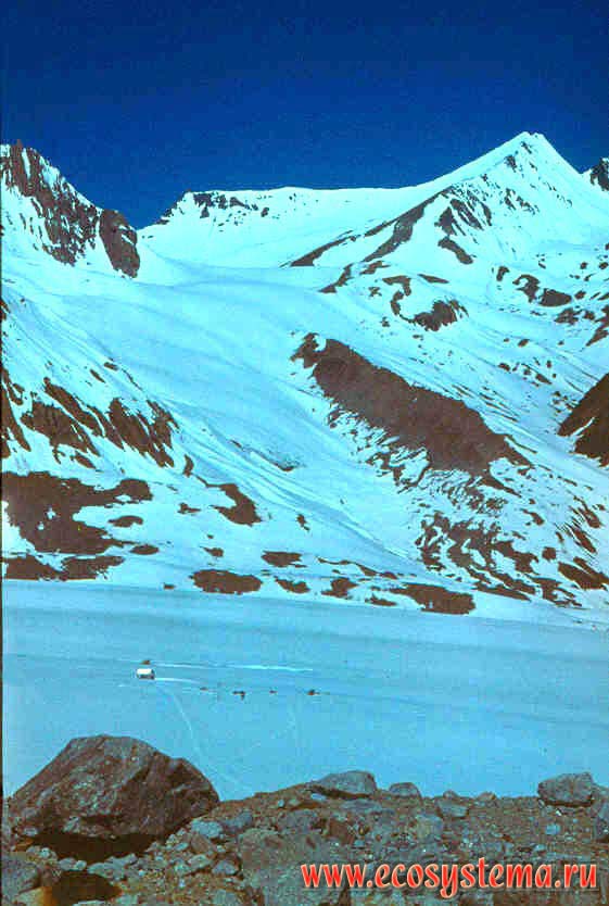 Abramov's Glacier. Main glacier body. Middle part.