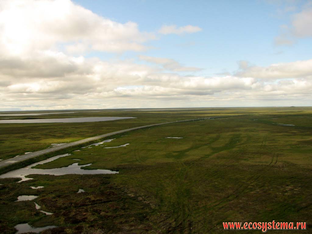 View on the tundra between Yamburg and Urengoi towns