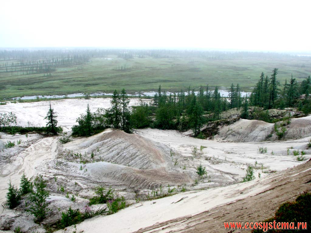 View to the tundra river from the river valley basic bank (watershed slope)