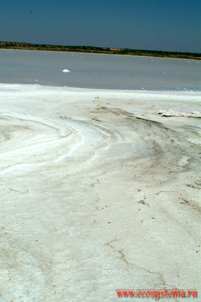 Salt lake in the semi-desert. Common salt (sodium chloride) sediment in the foreground