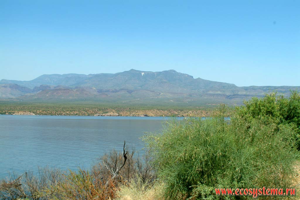 Водохранилище (озеро) им. Рузвельта. Аризона, недалеко от Феникса. Зона степей и пустынь предгорий Кордильер Юго-запада США