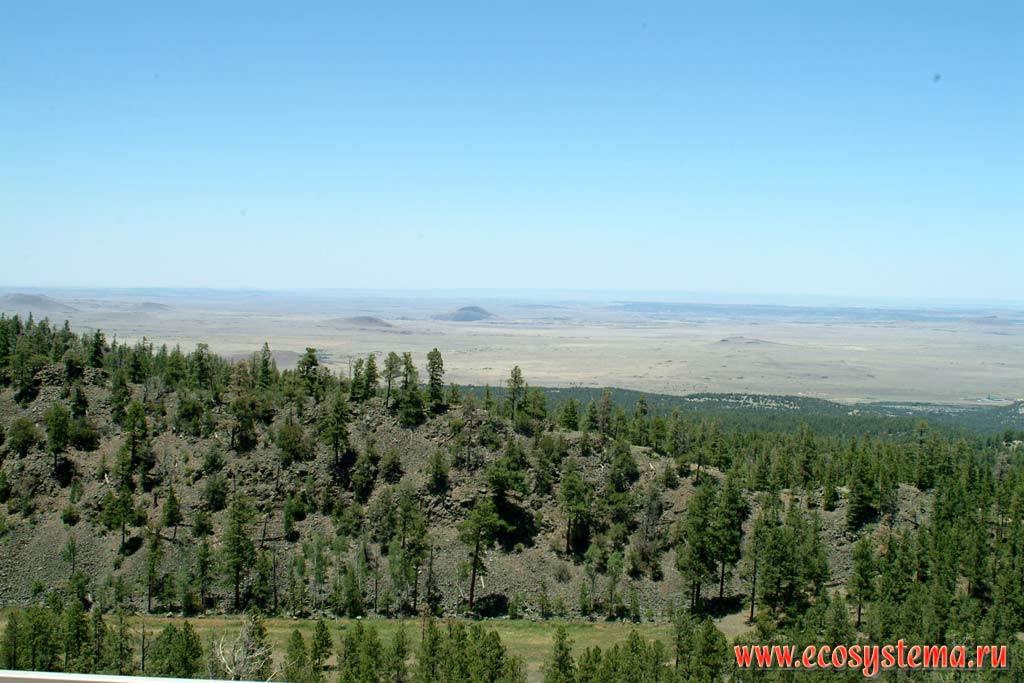Colorado plateau southern edge (border). View to Arizona and New-Mexico deserts