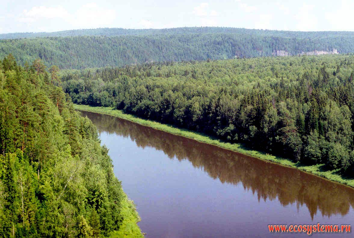 Ural Mountains. Middle course of the Chusovaya river. Coniferous taiga.
