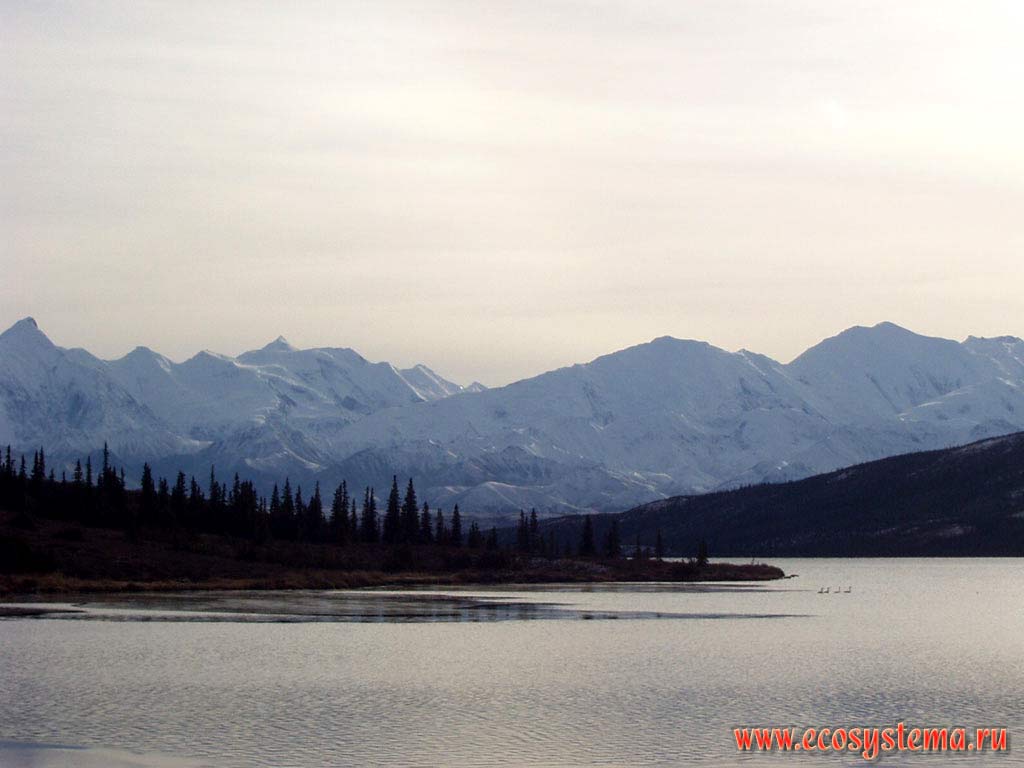 Озеро Чудес Мак-Кинли (McKinley Wonder Lake).
Национальный парк Денали. Горный Запад Северной Америки, Кордильеры Аляски, США, штат Аляска