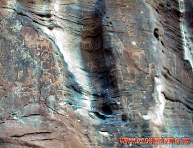 Наскальная живопись - петроглифы. Национальный парк Зайон (Zion National Park).
Горный запад Северной Америки, Кордильеры Юго-Запада США, штат Юта