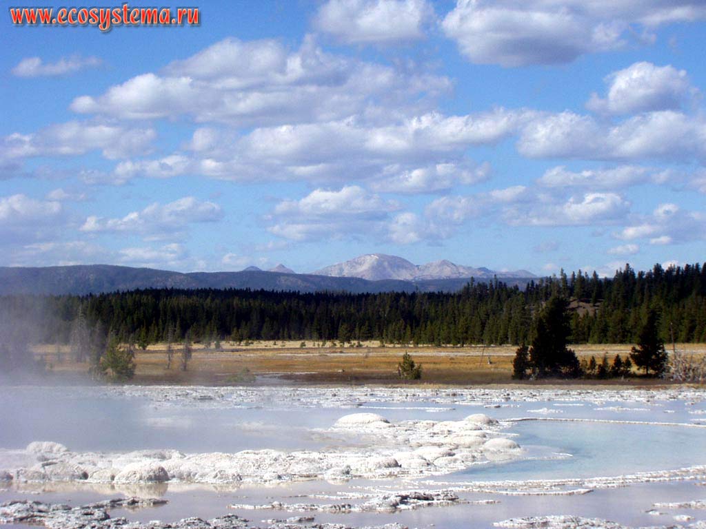 Известковые отложения (отложения гейзерита и травертина) термальных вод рядом с гейзером.
Йеллоустонский национальный парк. Горный Запад Северной Америки, Кордильеры северо-запада США, Скалистые горы, штат Вайоминг