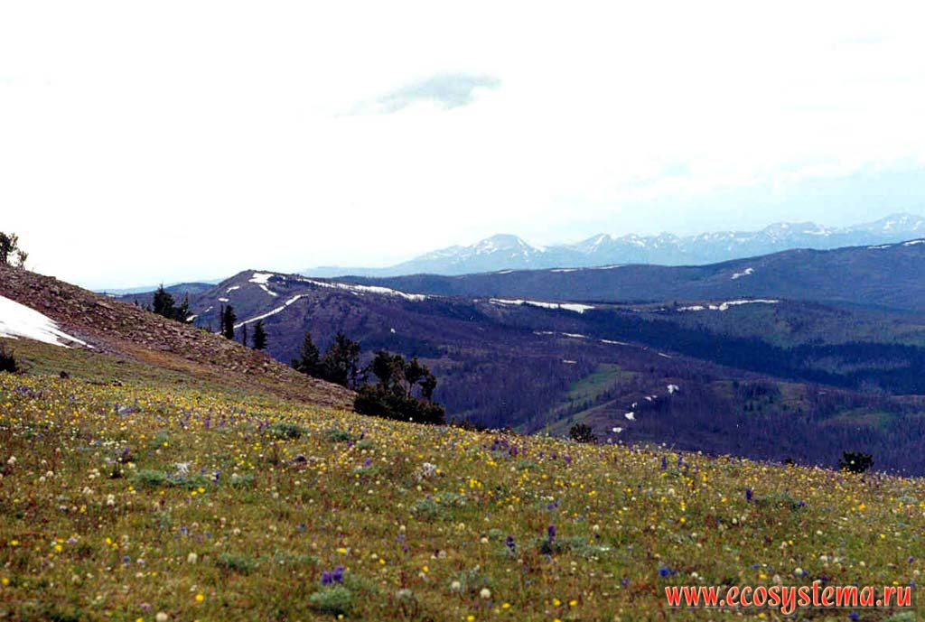 Rocky Mountains panorama above Yellowstone Lake