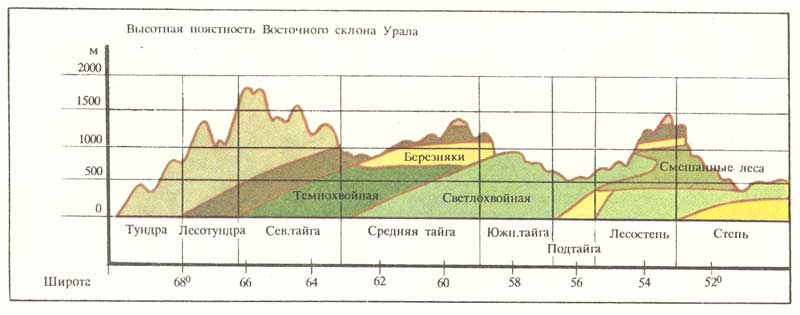 Высотная поясность Восточного склона Урала