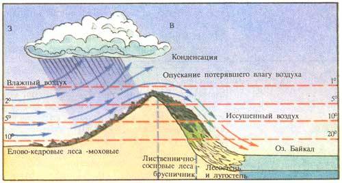 Влияние фёна на распределение ландшафтов Байкальского хребта
